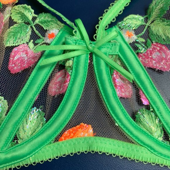 NWT Honey Birdette Lottie Lace Bra - Picture 9 of 14